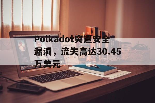 爱游戏官方入口-Polkadot突遭安全漏洞，流失高达30.45万美元